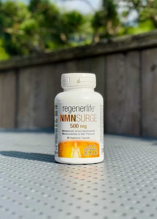 regenerLife NMNSurge NAD+ "Natural Factors"